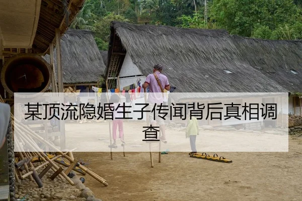 某顶流隐婚生子传闻背后真相调查
