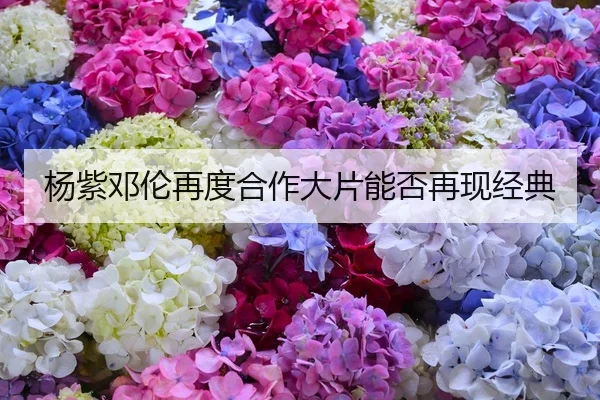 杨紫邓伦再度合作大片能否再现经典